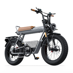 Coswheel CT20 Cargo Electric Bike - Pogo Cycles