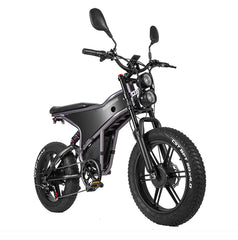 RANDRIDE DM711 Dual Motor Electric Bike