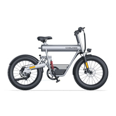 Vélo électrique cargo tout terrain Coswheel T20