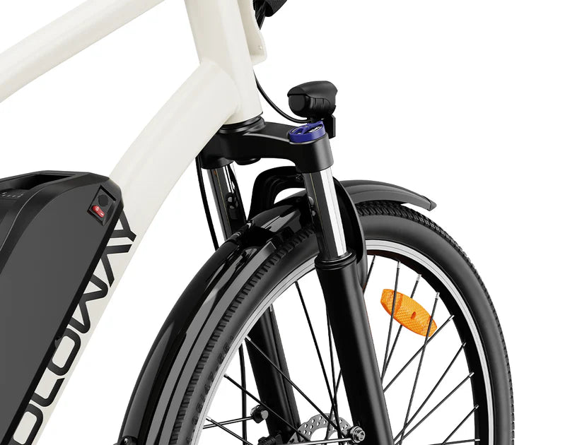 Yoloway C10 Electric Bike - Pogo Cycles