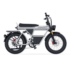 Coswheel CT20 2.0 Cargo Electric Bike