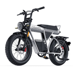Coswheel CT20 2.0 Cargo Electric Bike
