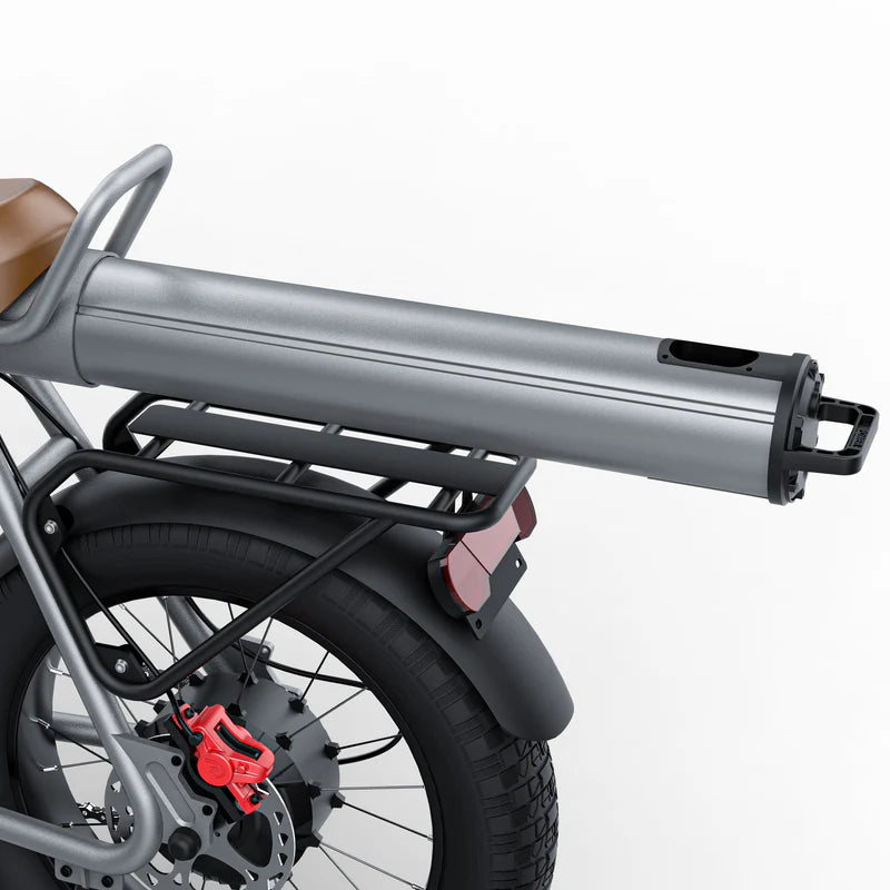 Coswheel CT20 Cargo Electric Bike