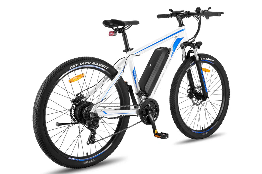 Fafrees F28 MT Mountain Electric Bike - UK - Pogo Cycles