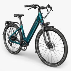 Fiido C11 City Electric Bike