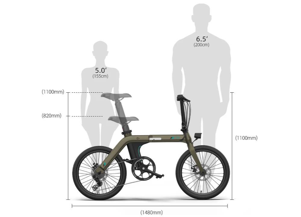 FIIDO D21 Folding Electric Bike - Pogo Cycles