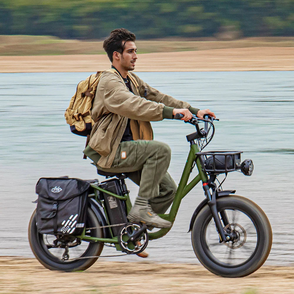 FIIDO T1 pro v2 upgraded Cargo Electric Bike - Pogo Cycles