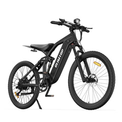 Bopzin Q31  Electric Bike